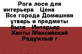 Рога лося для интерьера › Цена ­ 3 300 - Все города Домашняя утварь и предметы быта » Интерьер   . Ханты-Мансийский,Радужный г.
